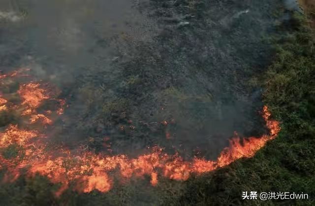 亚马逊丛林有多可怕?