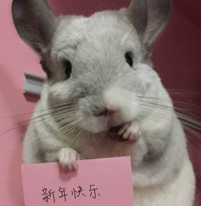 冷门创业好项目有哪些?冷门赚钱项目推荐