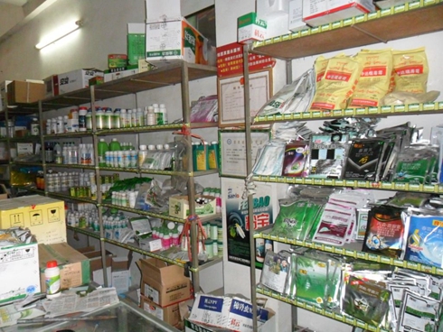 乡镇开店做什么生意好赚钱?适合乡镇开店的项目看这里