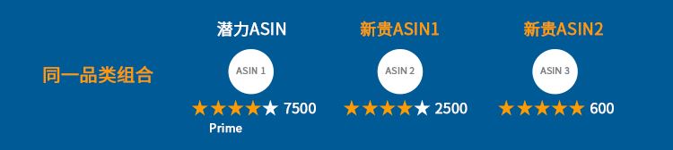 揭秘！专攻ASIN投放困境的4大秘籍，助你旺季突围！