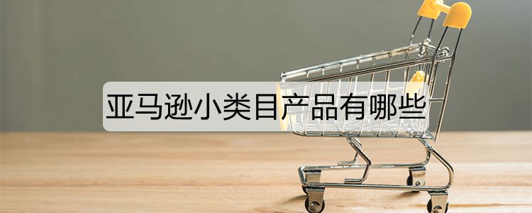 亚马逊小类目产品有哪些