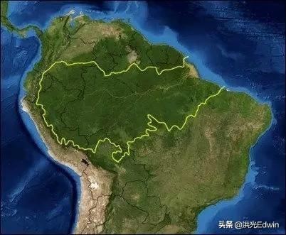 亚马逊丛林有多可怕？