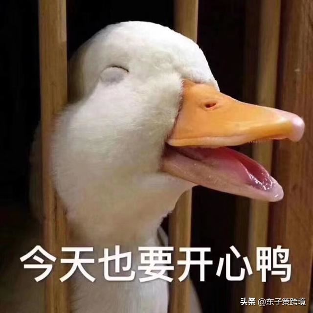 回答今年做跨境电商的都怎么样了？