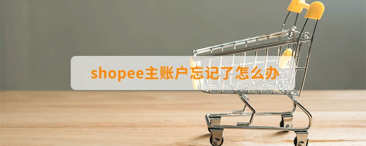 shopee主账户忘记了怎么办