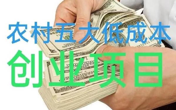 农村加工厂创业项目 农村低成本创业项目排行榜