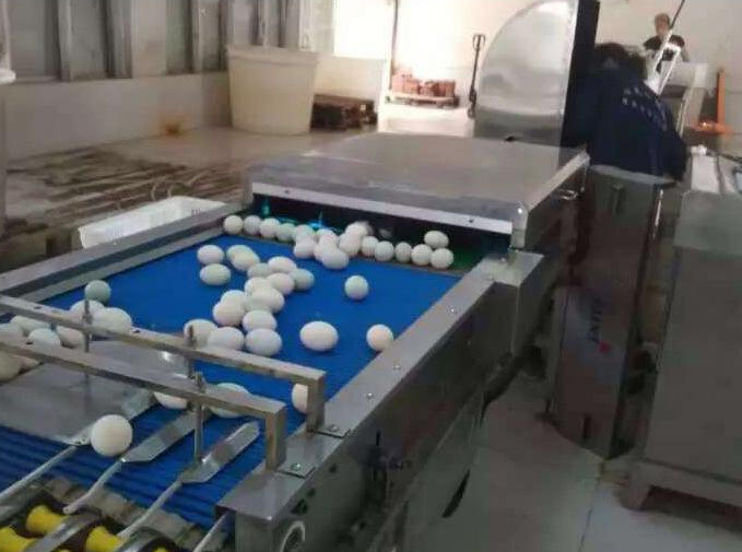 开厂做什么项目好?什么创业项目比较好
