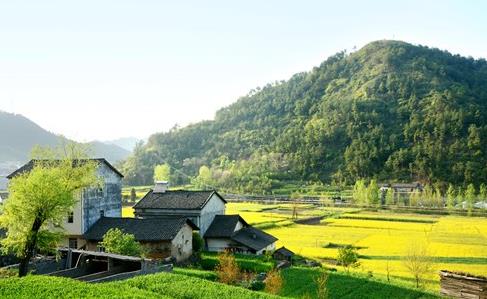 农村小型加工厂项目大全 农村小型加工厂有哪些