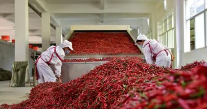 开个小食品厂要多少钱, 小食品工厂利润怎么样