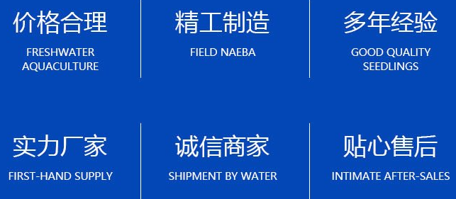 铁氟龙高温胶带-工业胶带/耐磨绝缘胶布隔热纸防烫布防水