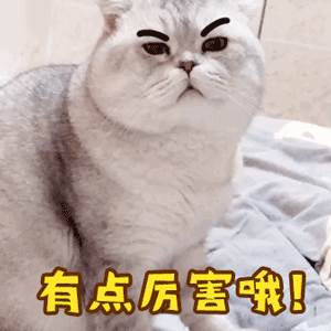 shopee南美 shopee海外仓发货